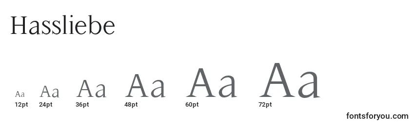 Размеры шрифта Hassliebe
