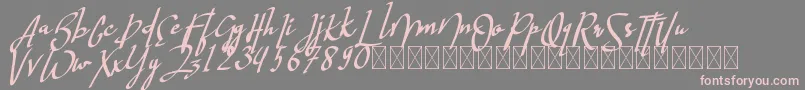 hastagrampersonal-Schriftart – Rosa Schriften auf grauem Hintergrund