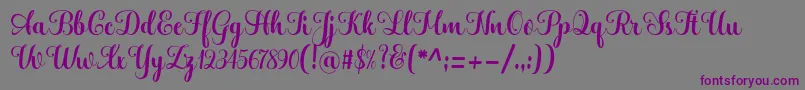 Hatachi-Schriftart – Violette Schriften auf grauem Hintergrund