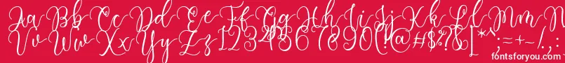 Having Fun Font by 7NTypes Font – White Fonts on Red Background