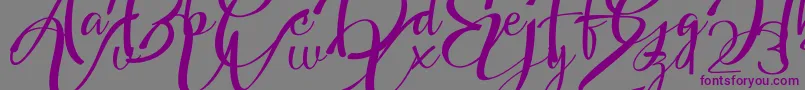Headland Script-fontti – violetit fontit harmaalla taustalla