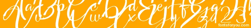 fuente Headland Script – Fuentes Blancas Sobre Fondo Naranja