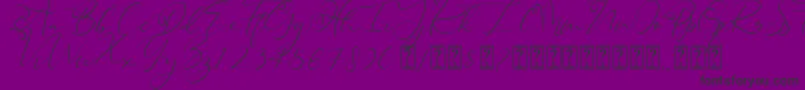 Heanffe Font – Black Fonts on Purple Background