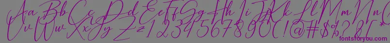 Hearth Stone Font – Purple Fonts on Gray Background