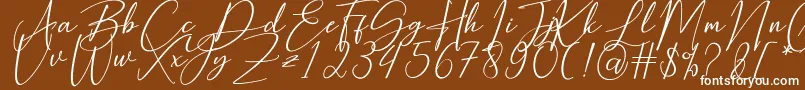 Hearth Stone-fontti – valkoiset fontit ruskealla taustalla
