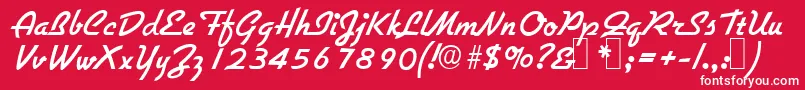 フォントG731ScriptRegular – 赤い背景に白い文字