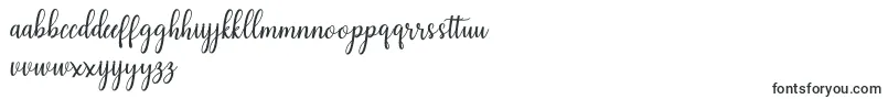 Hearty Script-fontti – hollantilaiset fontit