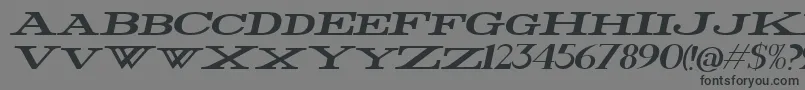 Police FatWideItalic – polices noires sur fond gris
