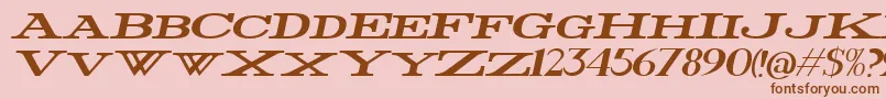 FatWideItalic Font – Brown Fonts on Pink Background