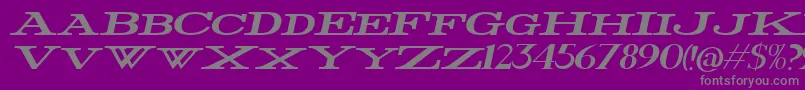 Police FatWideItalic – polices grises sur fond violet