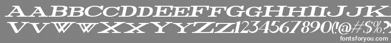 Fonte FatWideItalic – fontes brancas em um fundo cinza