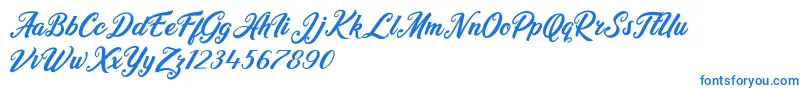 Heidy Indigo Font – Blue Fonts on White Background