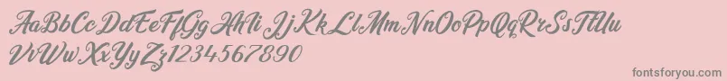 Heidy Indigo Font – Gray Fonts on Pink Background