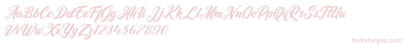 Heidy Indigo Font – Pink Fonts on White Background