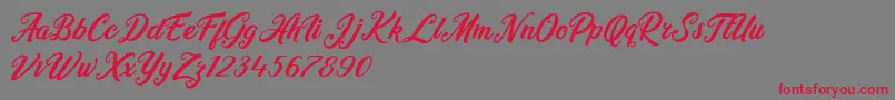 Heidy Indigo Font – Red Fonts on Gray Background