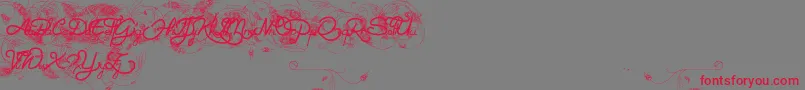 Helene  Queen K Font – Red Fonts on Gray Background