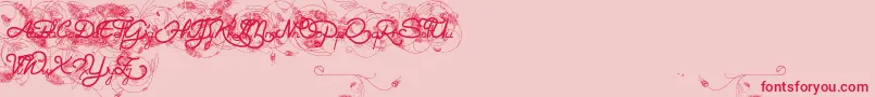 Helene  Queen K Font – Red Fonts on Pink Background