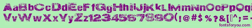 ActionOfTheTimeNew Font – Purple Fonts on Green Background