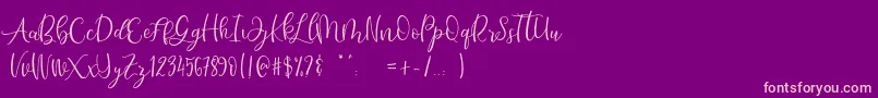 Hello Bunda Demo Font – Pink Fonts on Purple Background