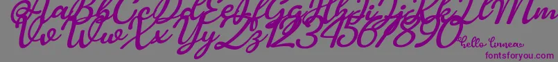 Hello Linnea italic Font – Purple Fonts on Gray Background