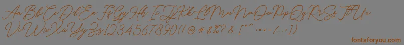 Hello Signature Font – Brown Fonts on Gray Background