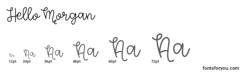 HelloMorgan Font Sizes