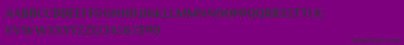 HENAVE Regular DEMO-Schriftart – Schwarze Schriften auf violettem Hintergrund