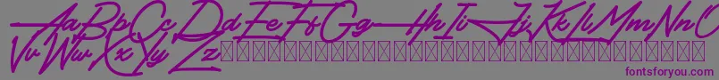 More about Hendangan Font Hendangan Font – Purple Fonts on Gray Background