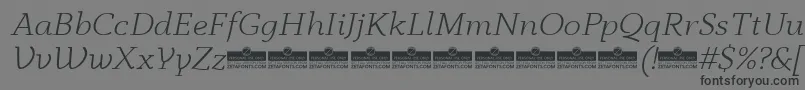 AnaphoraLightItalicTrial Font – Black Fonts on Gray Background