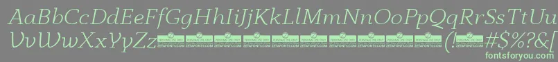 AnaphoraLightItalicTrial Font – Green Fonts on Gray Background