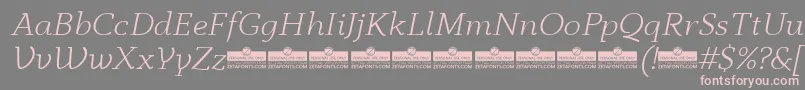 AnaphoraLightItalicTrial Font – Pink Fonts on Gray Background