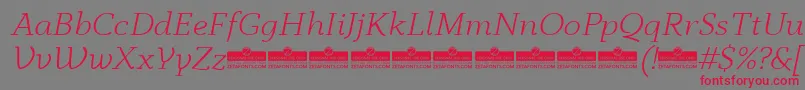 Czcionka AnaphoraLightItalicTrial – czerwone czcionki na szarym tle