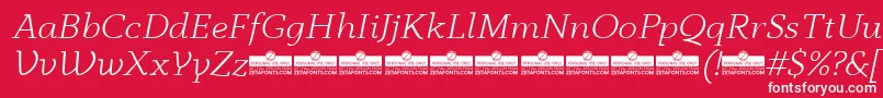 AnaphoraLightItalicTrial Font – White Fonts on Red Background