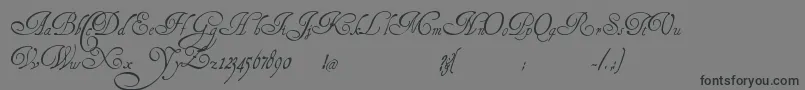 HenryMorganHand Font – Black Fonts on Gray Background