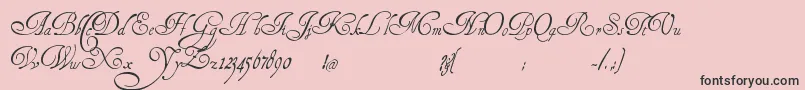 HenryMorganHand Font – Black Fonts on Pink Background