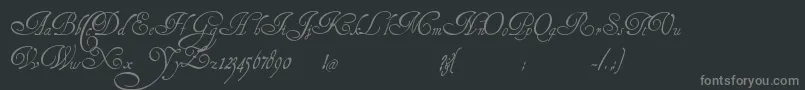 HenryMorganHand Font – Gray Fonts on Black Background