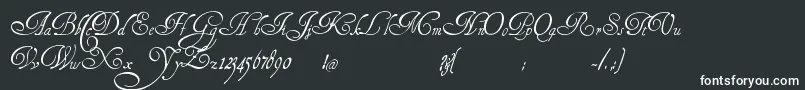 HenryMorganHand Font – White Fonts on Black Background