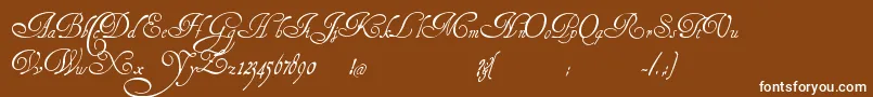 HenryMorganHand Font – White Fonts on Brown Background