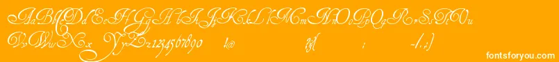 HenryMorganHand Font – White Fonts on Orange Background