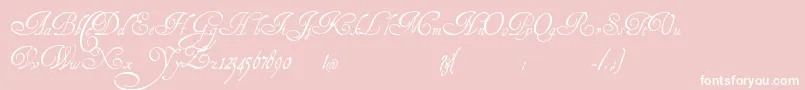 HenryMorganHand-Schriftart – Weiße Schriften auf rosa Hintergrund