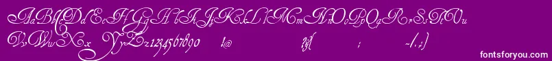 En savoir plus sur la police HenryMorganHand Police HenryMorganHand – polices blanches sur fond violet