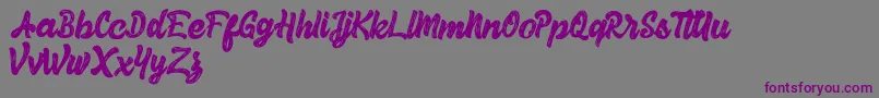 フォントHerey Script Free Version – 紫色のフォント、灰色の背景