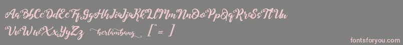 Herlambang Font – Pink Fonts on Gray Background