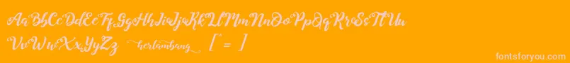 Herlambang Font – Pink Fonts on Orange Background