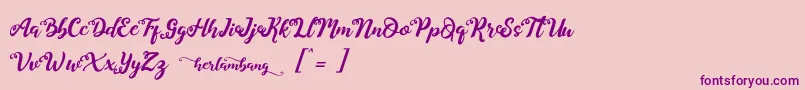 Herlambang Font – Purple Fonts on Pink Background