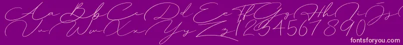 Herlyna Font – Pink Fonts on Purple Background
