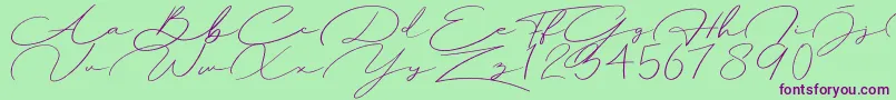 Herlyna Font – Purple Fonts on Green Background