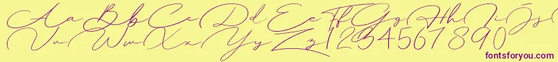 Herlyna Font – Purple Fonts on Yellow Background