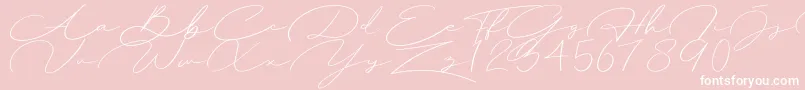 Herlyna-Schriftart – Weiße Schriften auf rosa Hintergrund