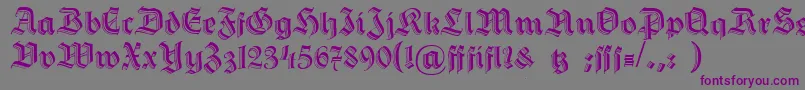 Hermann Gotisch Font – Purple Fonts on Gray Background